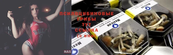 таблы Зерноград