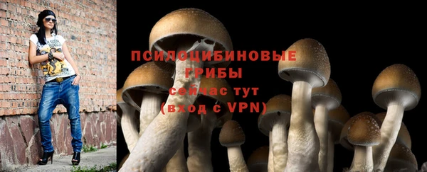 крисы Зеленокумск