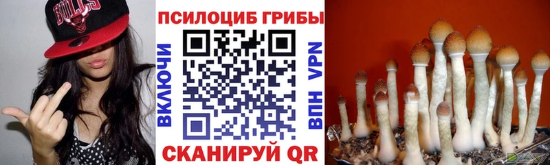Купить  Качканар  Псилоцибиновые грибы ЛСД 
